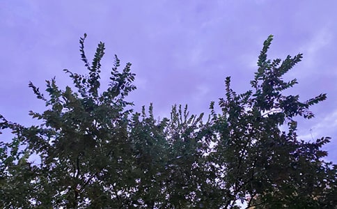 ���ر���2024���°��簲�ʺ���25��