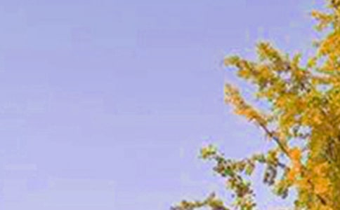 ���Ƽ���2023���ʺ����Ϸ����簲΢���ʺ��Ｏ��44��