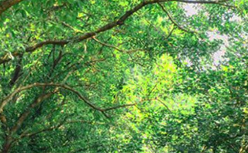 �й������簲���ԣ�ͨ��110�䣩