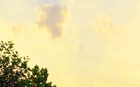 ���Ƽ�����ů���簲����Ȧ�ʺ���42��