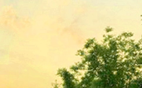 ����Ψ�����簲QQ�ʺ���65��