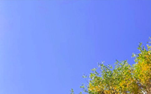 ��ʵ�á�ף��������簲΢���ʺ�����67��