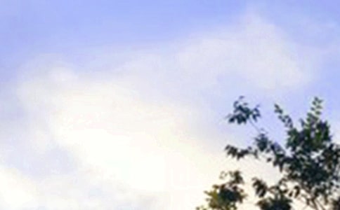 ��̵������簲΢���ʺ���46��