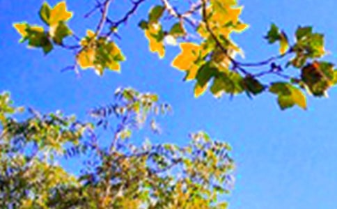 2023���̵�ÿ��һǩ�簲QQ�ʺ���23��