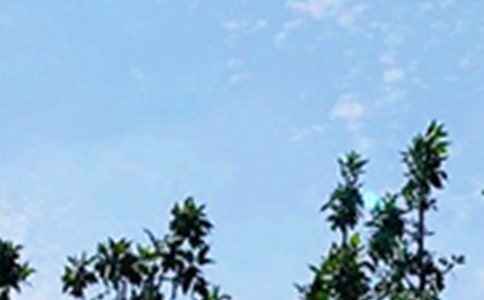 2024�꾫ѡ�°��簲΢���ʺ���ϼ�58��