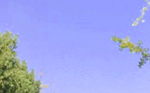 2023年经典适合给朋友的早安问候语19条