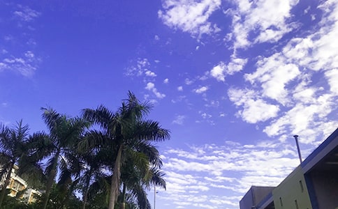 ����ÿ��һ���簲΢���ʺ���37��