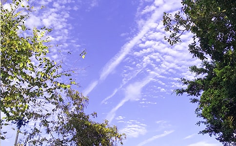 �й����õ��簲΢���ʺ�����63��