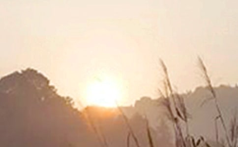 ��̵�ÿ��һ���簲����Ȧ�ʺ���ժ¼47��