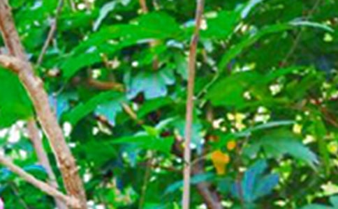 ��ʵ�á�2023�����õ��簲�ʺ�����¼����37��