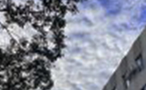 2024���̵����õ��簲�ʺ�����¼37��