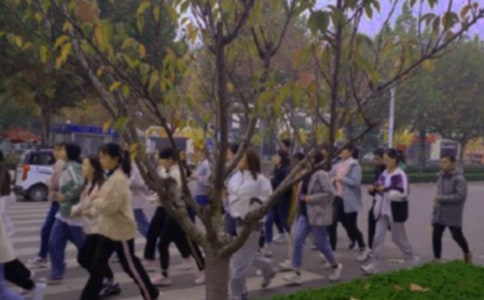 ��ٳٵ������飨����