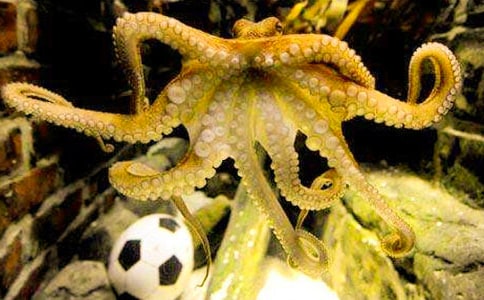 �����㡷С��̰�