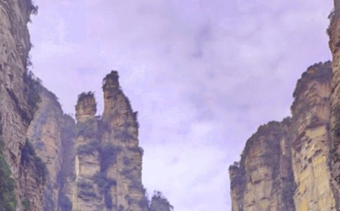 �����żҽ絼�δ�