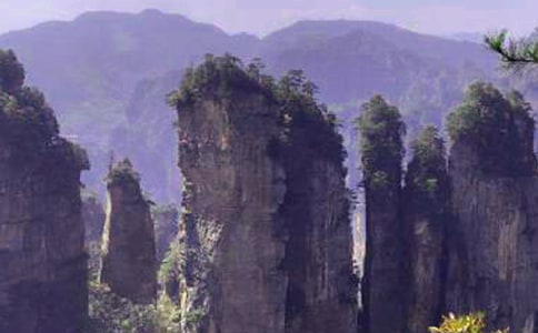 �żҽ�����ɽ���δ�