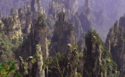 张家界导游词作文