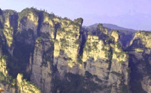 �����żҽ絼�δ�