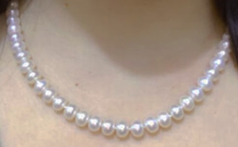 ��������14ƪ