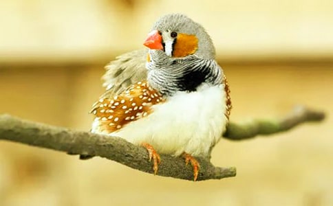 �������񡷶����15ƪ[����]