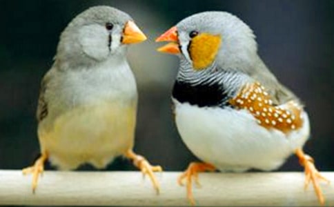 �������񡷽�ѧ��˼(��ѡ15ƪ)