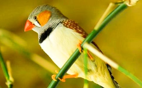 [ͨ��]�����������и�