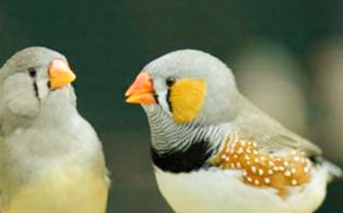 �������񡷶����(����18ƪ)