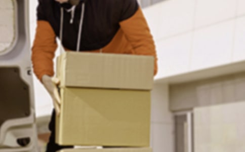 ְҵ���������ƶ�(ʵ��15ƪ)