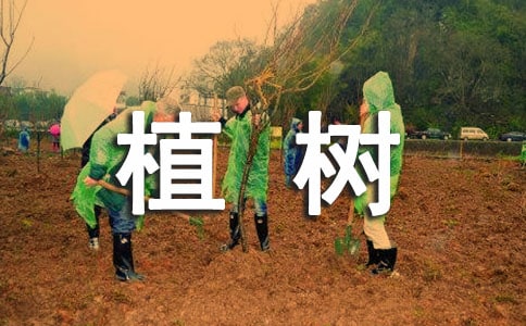 ��ֲ���������ˡ������14ƪ