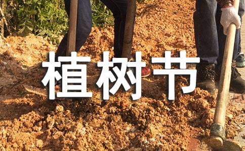 ����Ψ��ֲ����ף������60��