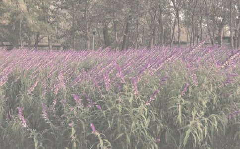 �Ϸ�ֲ��԰���δ�