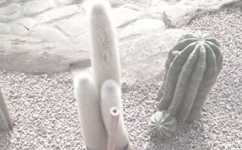 ֲ��԰�ۺ������