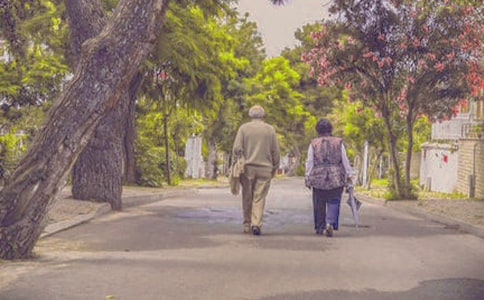 ��������ܽ�