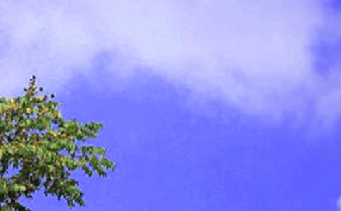 ���������ʺ���