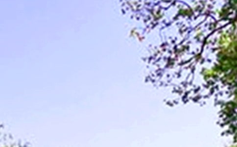 �����ʺ���