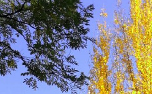 ������ʺ���̾� ����õĶ���˵˵