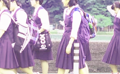 ����ѧ��������ʵ���ĵ���ᣨ������