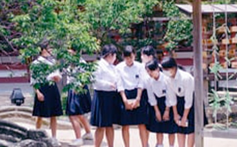 ��ѧ�����Ƽ�����10ƪ