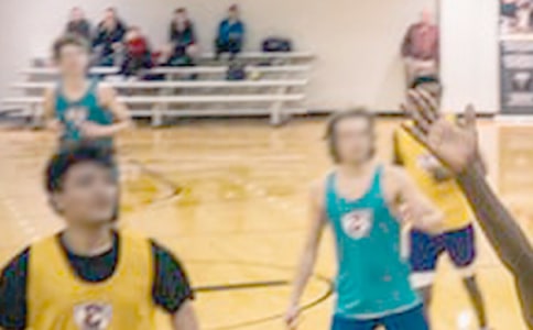 ����ѧ������(15ƪ)