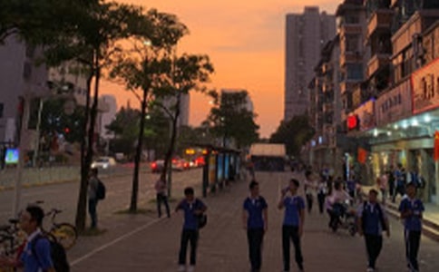 ��ѧ�����̼����顾���š�