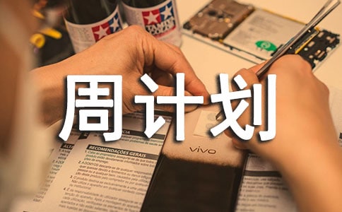 �����ܼƻ��ϼ�10ƪ