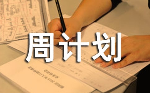 ʵ�õĹ����ܼƻ�3ƪ