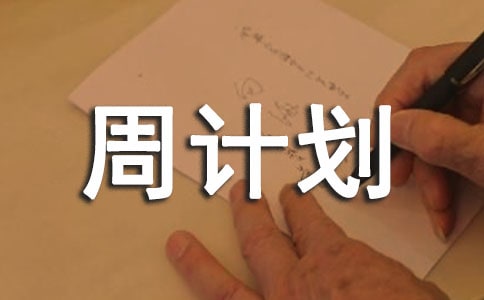 �����ܼƻ�����8ƪ