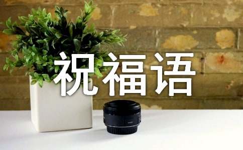 2023��ʵ�õ����ϵ�ף����¼49��