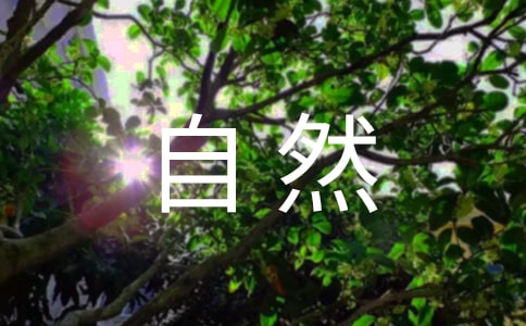 ����д���Ȼ��ʾ