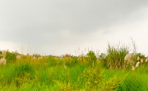 �����߽���г�Ĵ��졷�и�14ƪ