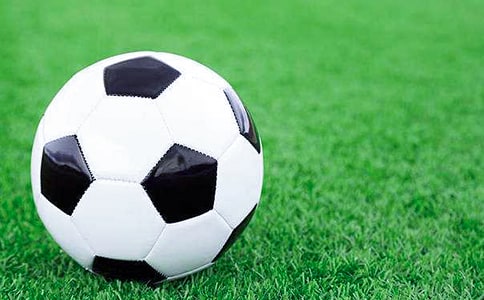 �����š�Сѧ����̰�15ƪ