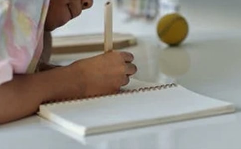 推荐《野犬女皇》作文