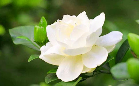 �����ӻ���ʱ�������