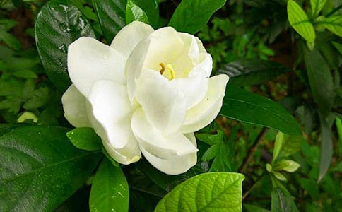 ��һ�����ӻ��������