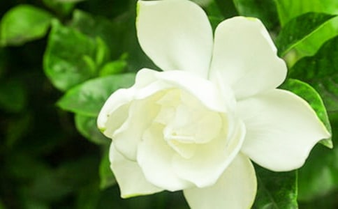 ��Ů�������ӻ����������